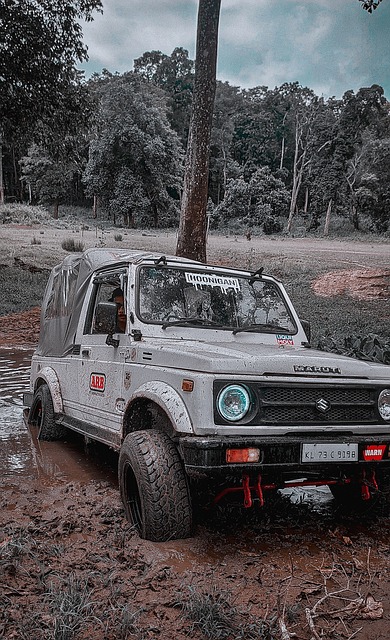 阿斯顿维拉 阿斯顿维拉