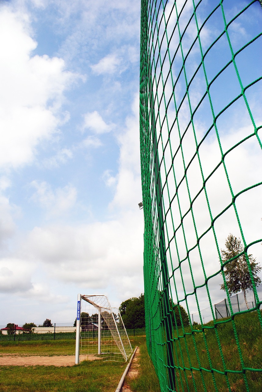 升自己的实 升自己的实