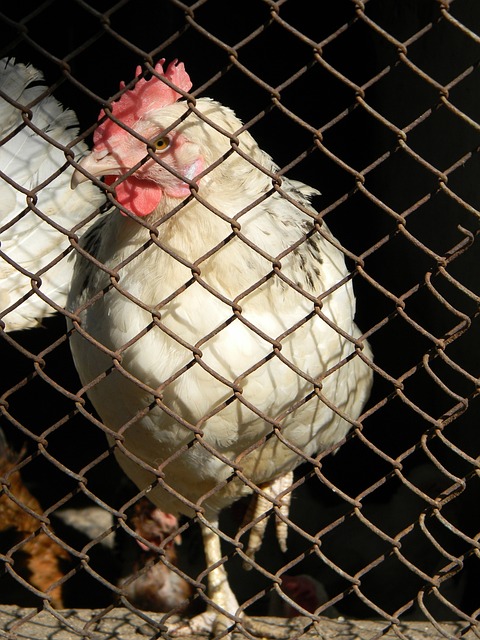 2-2！梅球王＝助攻王！381次助攻现役第一人，其他没人过300的.