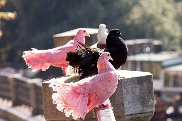 有最终获奖 有最终获奖