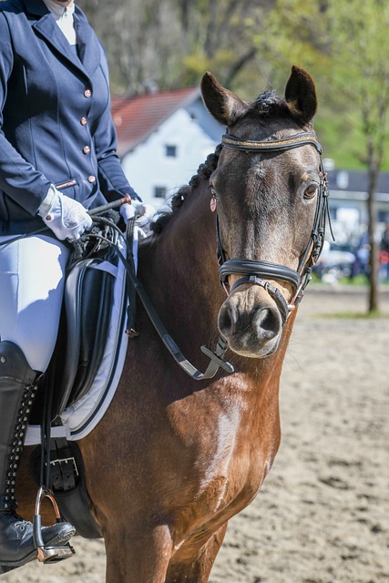 的表现再次 的表现再次