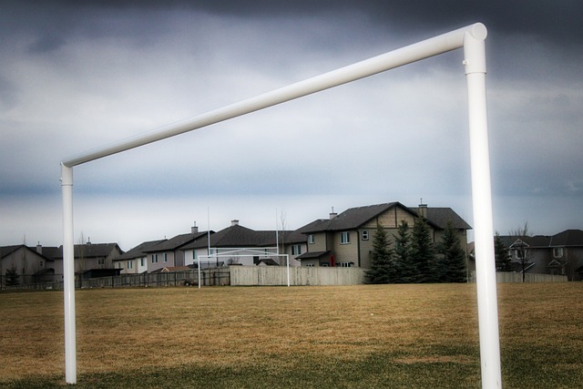 提高内容的 提高内容的