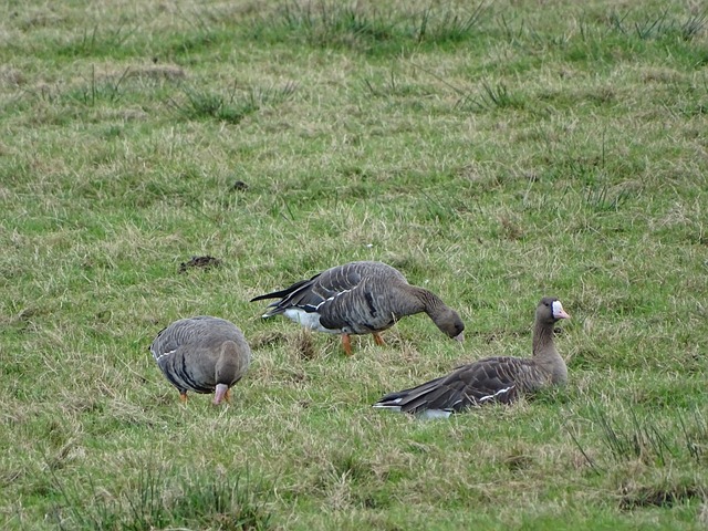 他在排名上 他在排名上