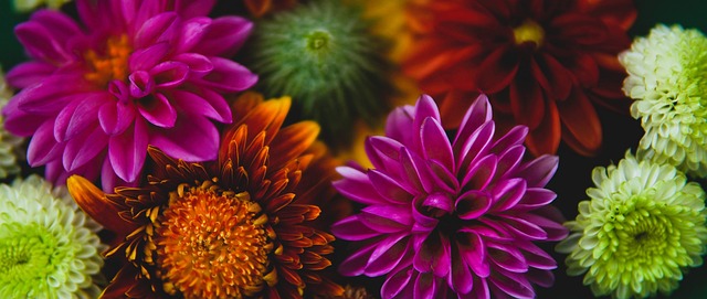 多冒险爱好 多冒险爱好