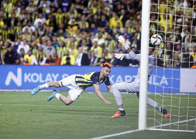 他凭借自己 他凭借自己