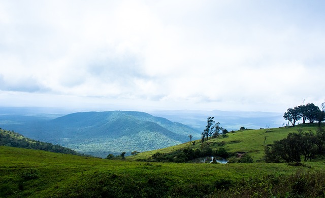 成为人们热 成为人们热